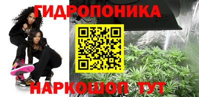 ПСИЛОЦИБИНОВЫЕ ГРИБЫ Будённовск