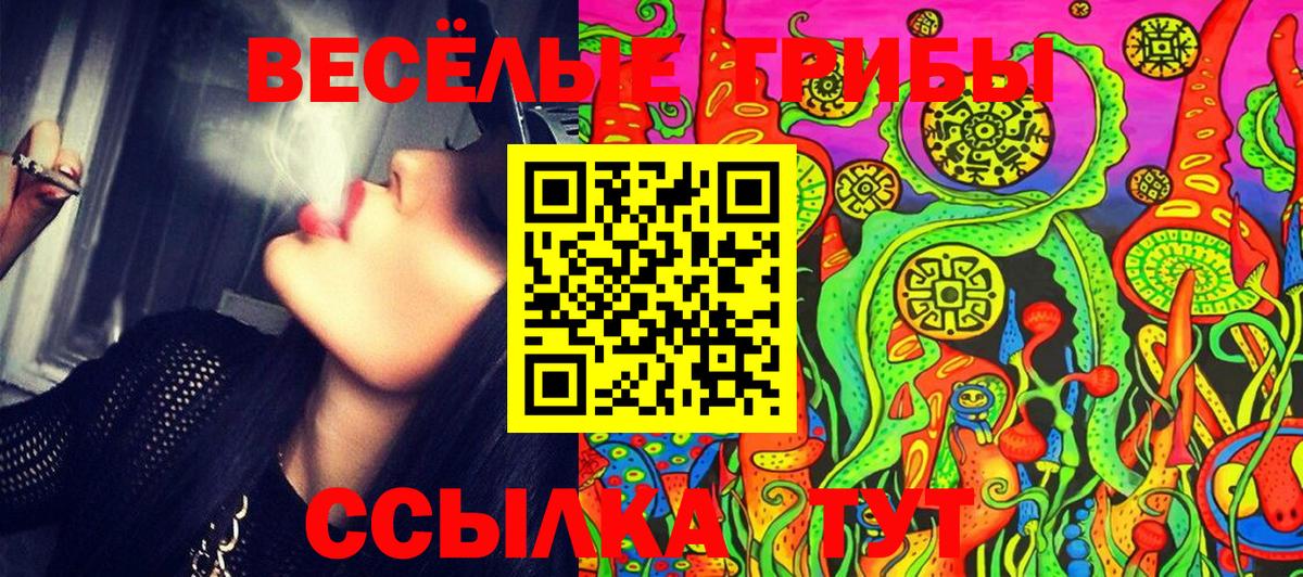 Сочи  Псилоцибиновые грибы мицелий  Вход с VPN 